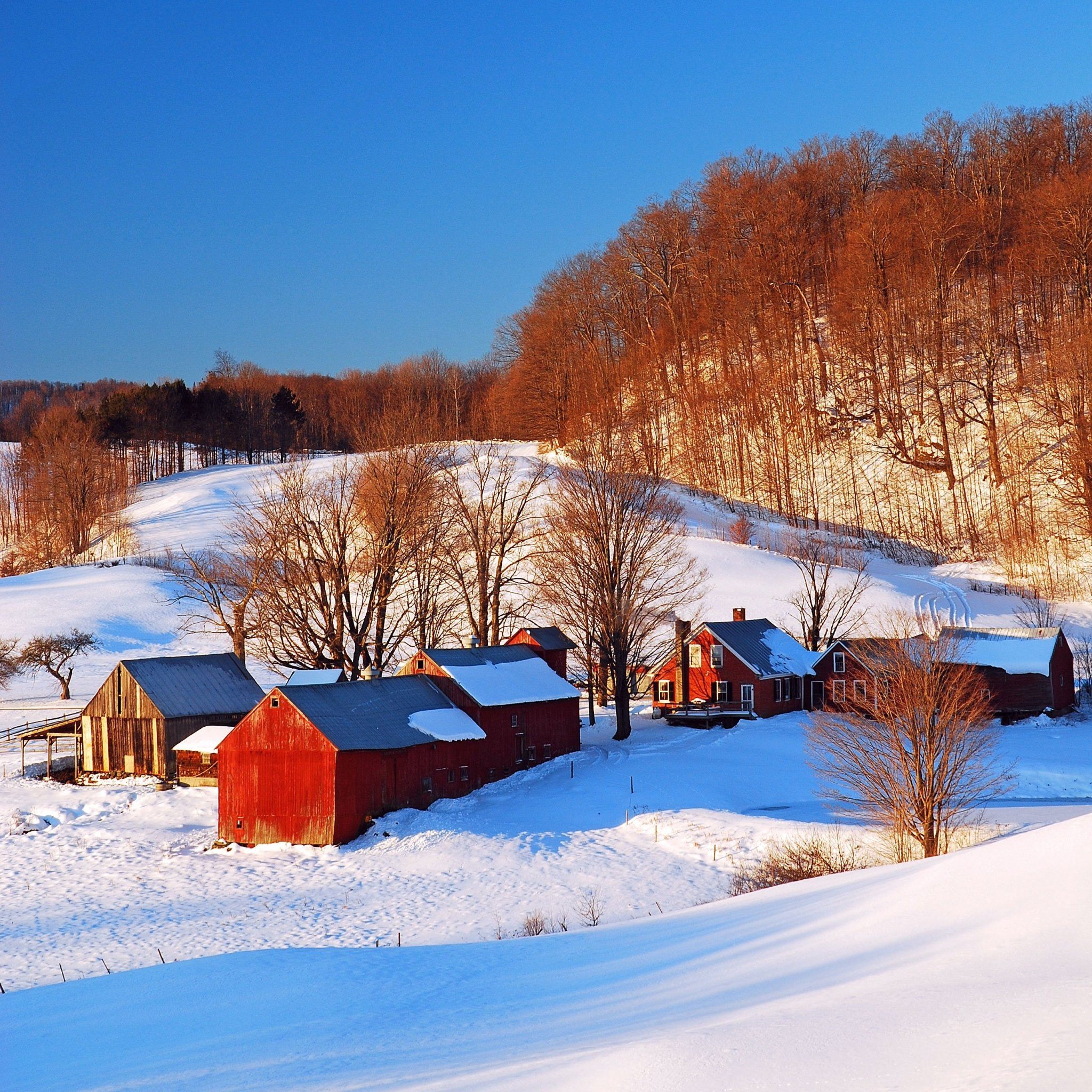 New England: Winter Adventure Candle Gift Set New England New England Editions