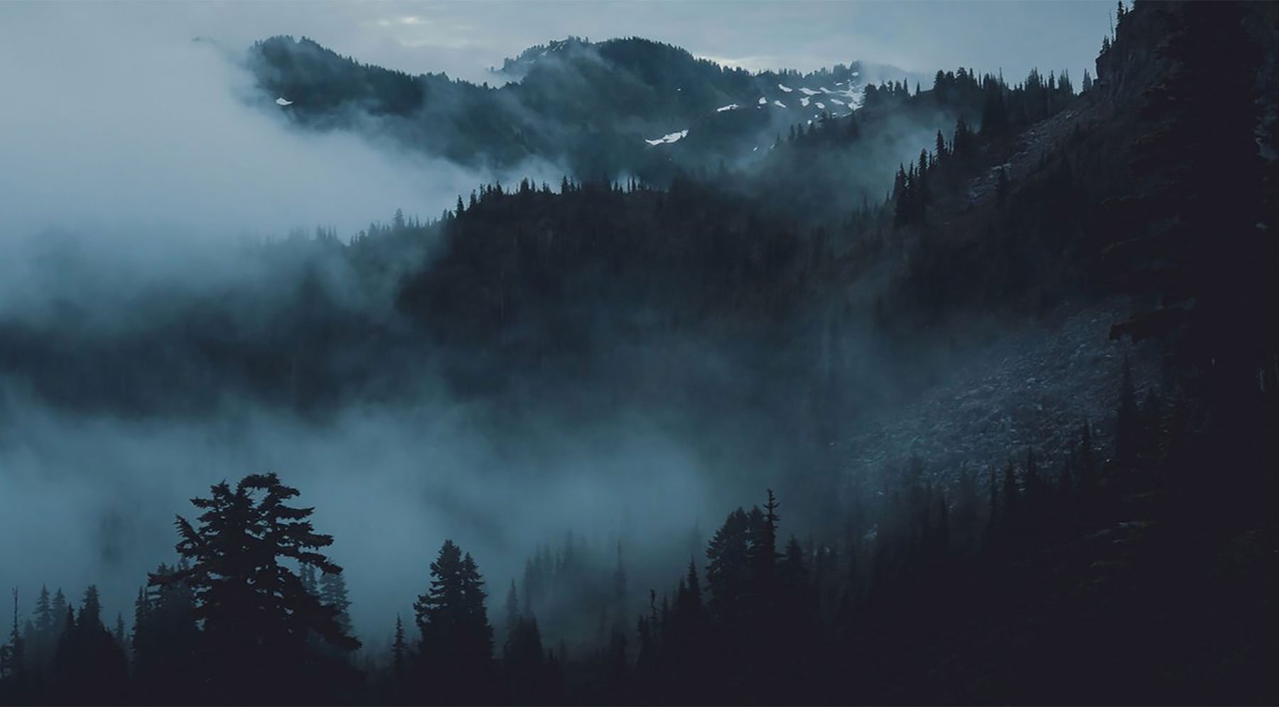 Misty Pacific Northwest forest valley with fog among pine trees and mountains