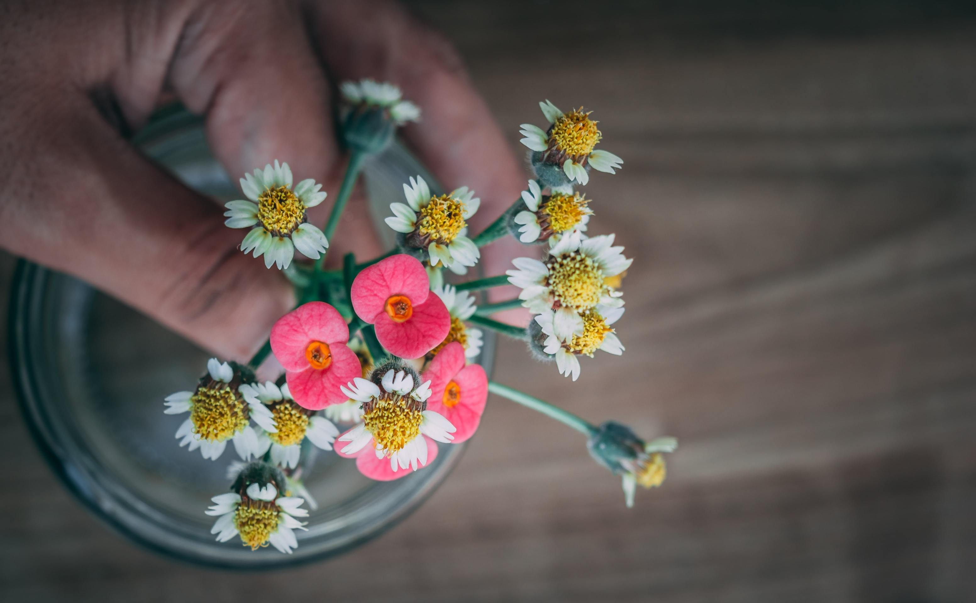 Reused candle jar holding pink and white wildflowers held in hands
