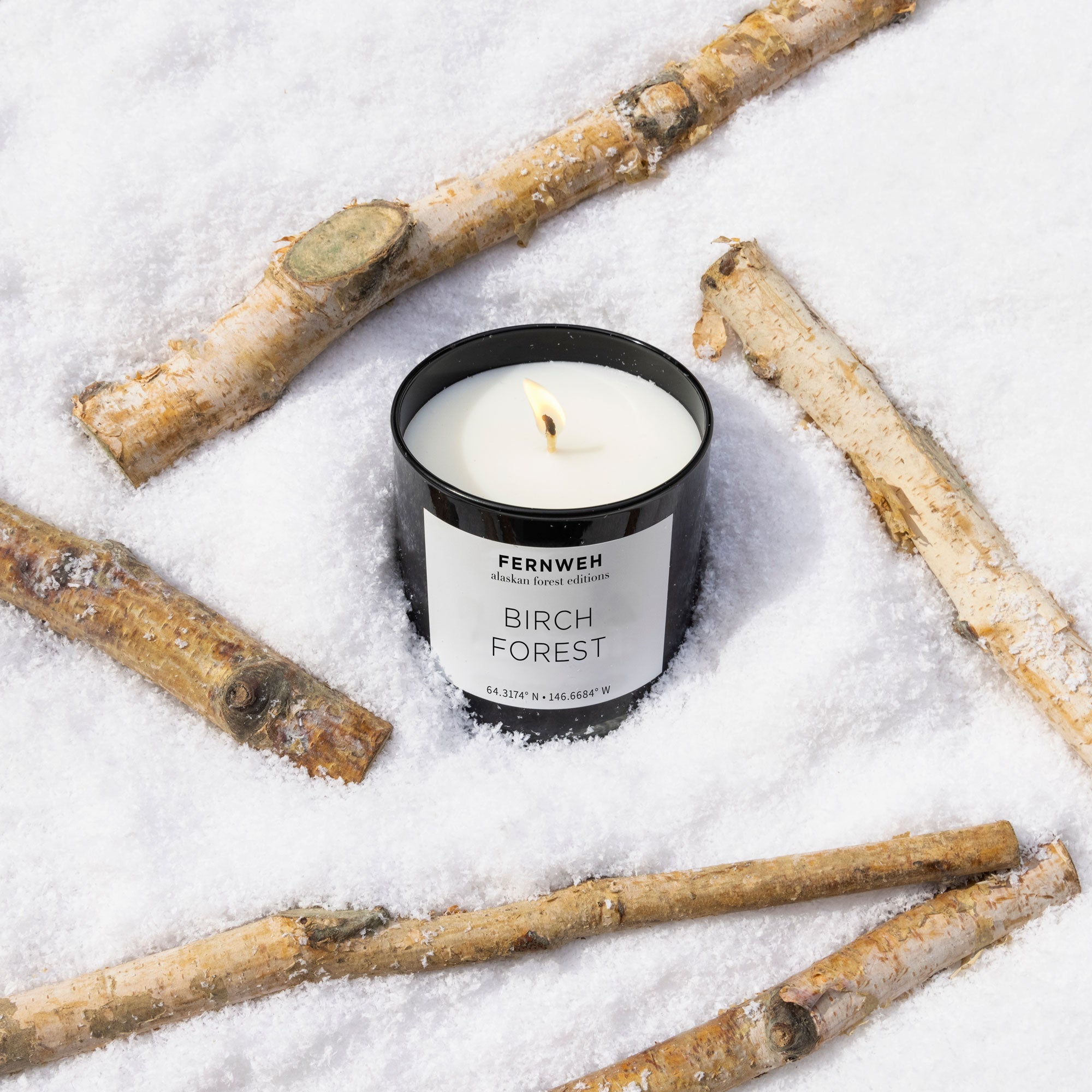 Birch Forest soy candle among pale birch trunks