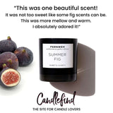 Summer Fig Scented Soy Candle