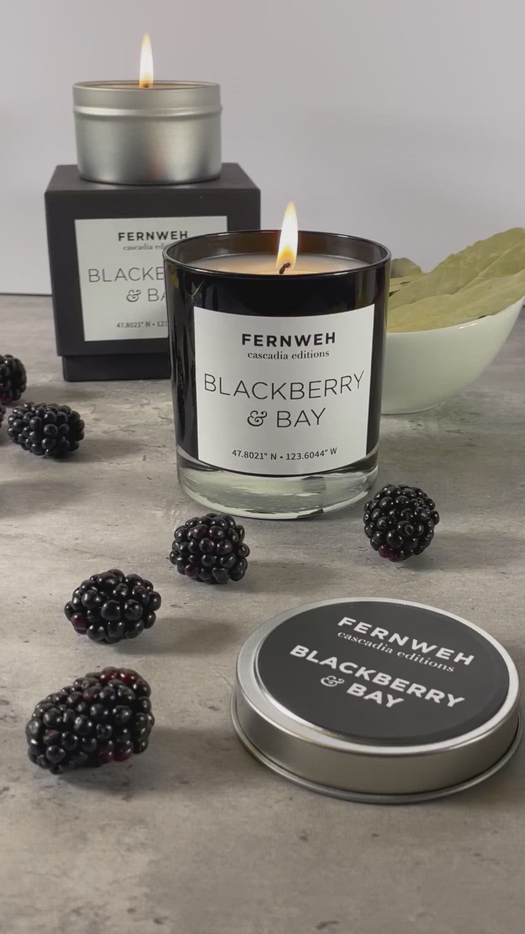 BBW 2x Blackberry offers Candles USED