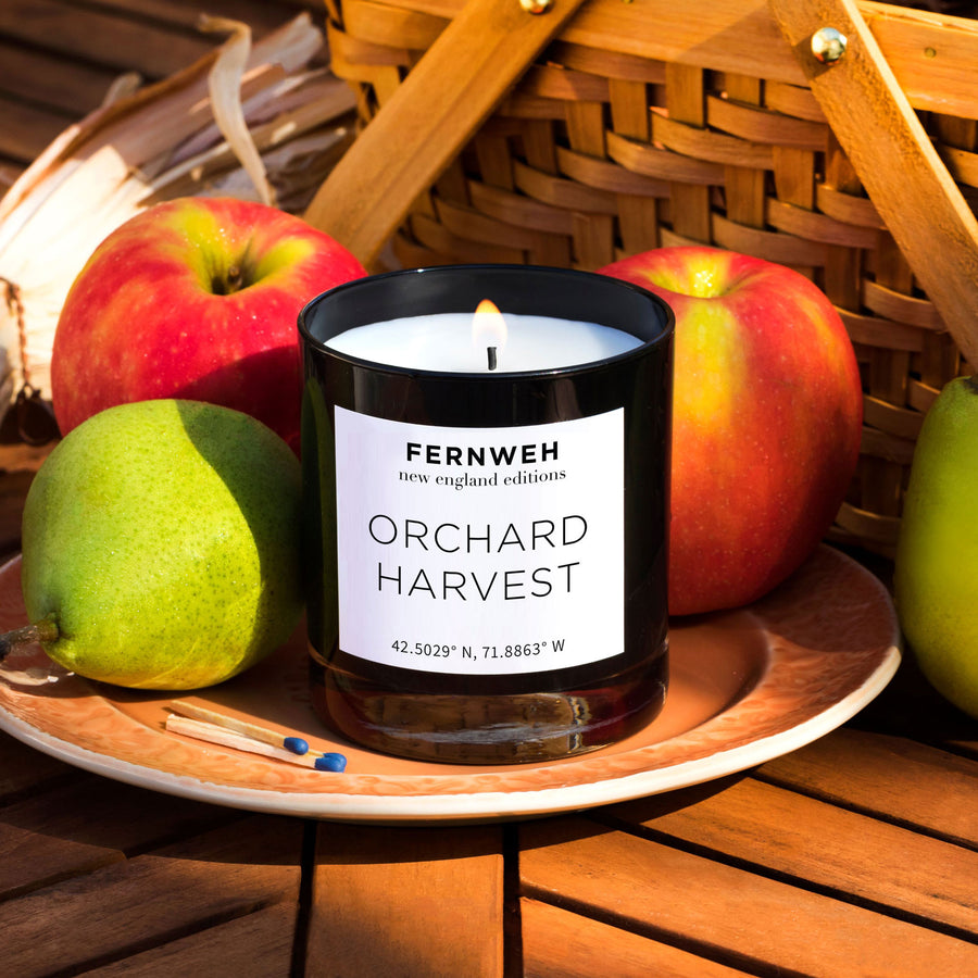 Orchard Harvest Candle: New England Edition