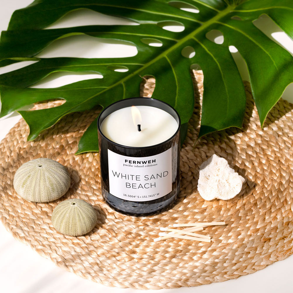 Lit White Sand Beach soy candle with monstera leaf and seashells